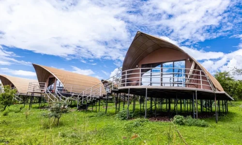 Ngorongoro wild camp