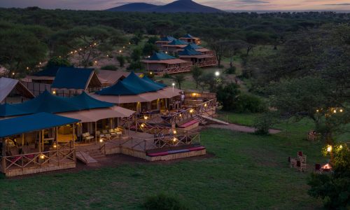 Nyota Luxury Camp