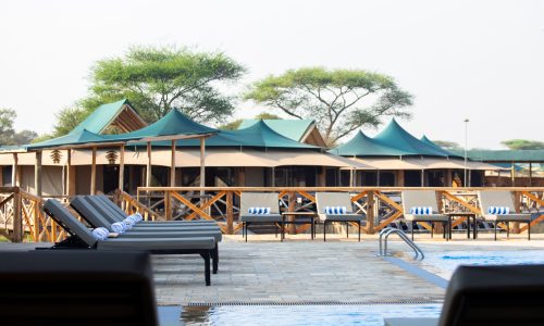 Nyota Luxury Camp