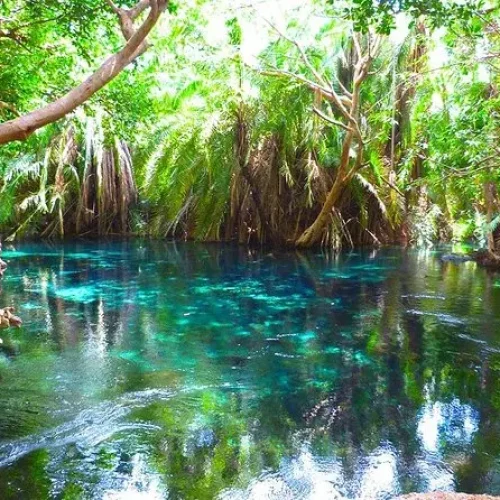 Piscine Naturelle des Sources Chaudes de Chemka