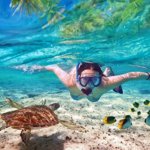 Plongée en Apnée à l’Atoll de Mnemba - Zanzibar