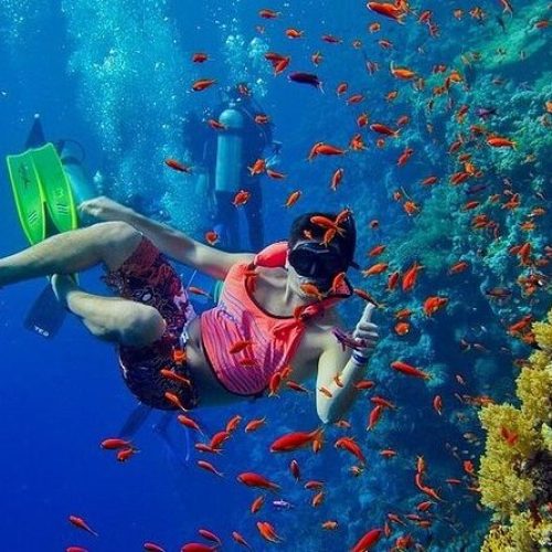 Plongée en Apnée à l’Atoll de Mnemba Zanzibar