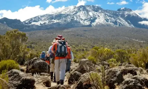 Porte Kilimandjaro-Londolosi