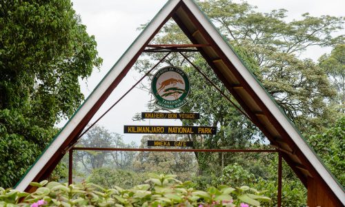 Porte du Kilimandjaro