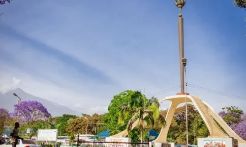 Promenade dans les Rues d_Arusha