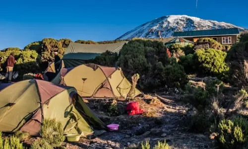 Safari de 15 jours + Kilimandjaro