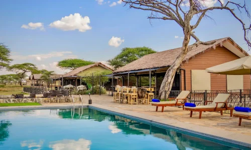 Sametu-Serengeti-Camp-swimming-pool