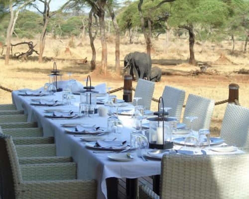 Sanctuary Swala Camp