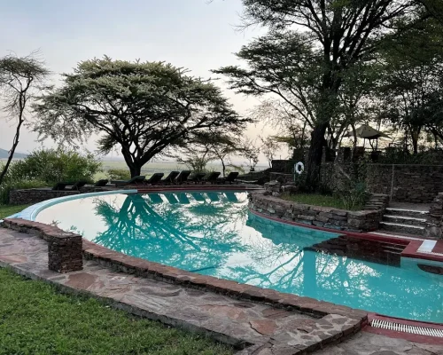 Serengeti-Serena-Lodge-swimming-pool