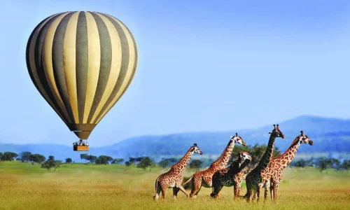Serengeti-Vol-Montgolfiere