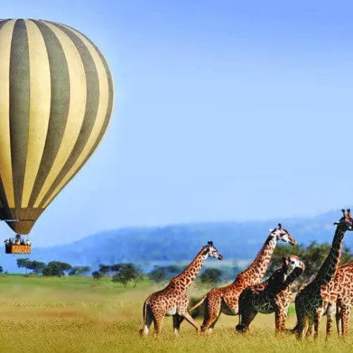 Serengeti-Vol-Montgolfiere