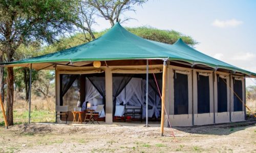Serengeti classic view Migration Camp
