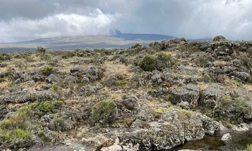 Shira-2-Camp-Paysage-Kilimanjaro