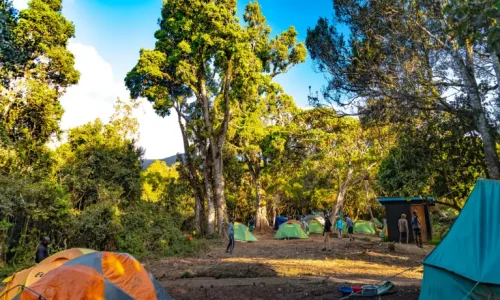 Site de camping de Mti Mkubwa, Kilimandjaro