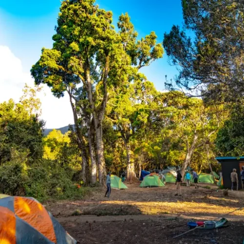 Site de camping de Mti Mkubwa, Kilimandjaro