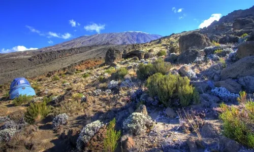 Site de camping du Buffalo Camp, Kilimandjaro