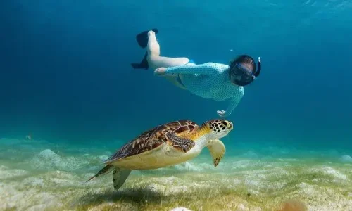 Snorkeling à Mnemba Atoll, Zanzibar