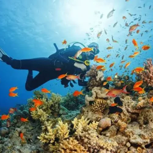 Snorkeling at Bawe Island – Zanzibar