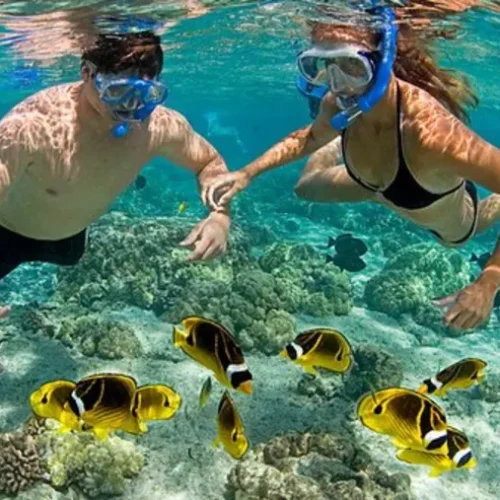 Snorkeling at Bawe Island – Zanzibar
