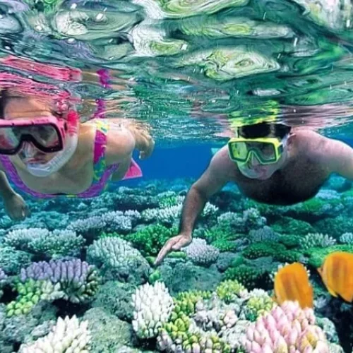 Snorkeling au Blue Lagoon