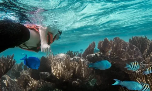 Snorkeling sur récif corallien à Nungwi, Zanzibar
