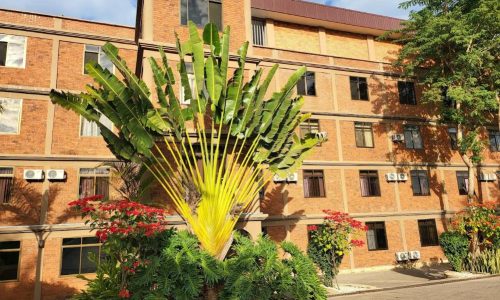 Summit Safari Lodge