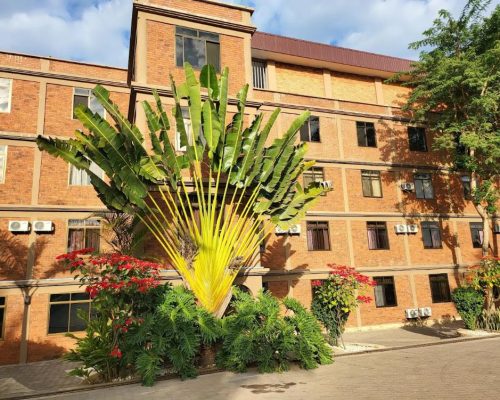 Summit Safari Lodge