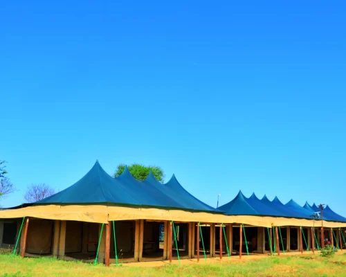 Tanzania bush camp