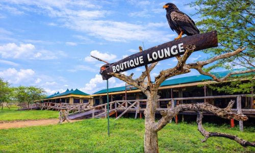 Tanzania bush camp