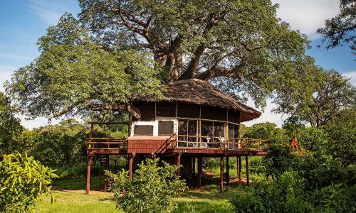 Tarangire-Treetops---accommodation---exterior-view-of-Treehouse-Suite