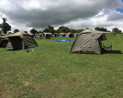 Tente du camp Simba