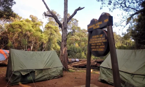 Tentes au camp Mti Mkubwa, Kilimandjaro