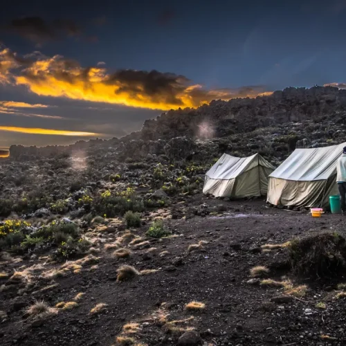 Tentes de cuisine et de restauration du Buffalo Camp