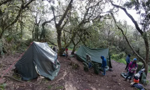 Tentes du Umbwe Cave Camp