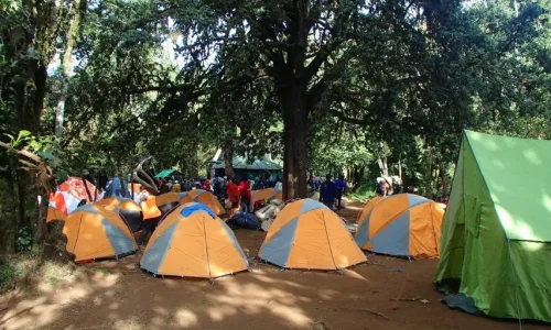 Tentes du camp Mti Mkubwa, Kilimandjaro
