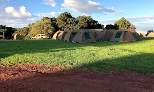 Tentes du camping Simba