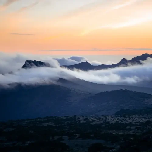 Trek du Kilimandjaro de 7 jours via la route Machame