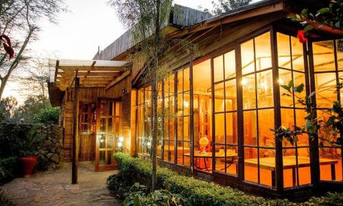 Under The Shade Lodge