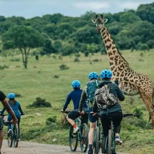 VTT dans le Parc National d’Arusha