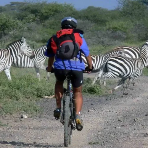 VTT dans le Parc National d’Arusha