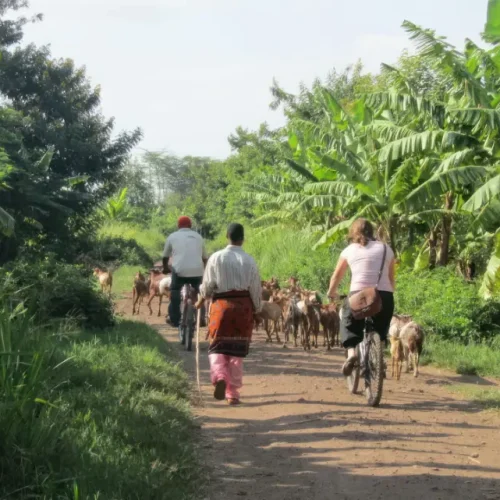 Vélo à Mto wa Mbu Village - Easy Travel Tanzania