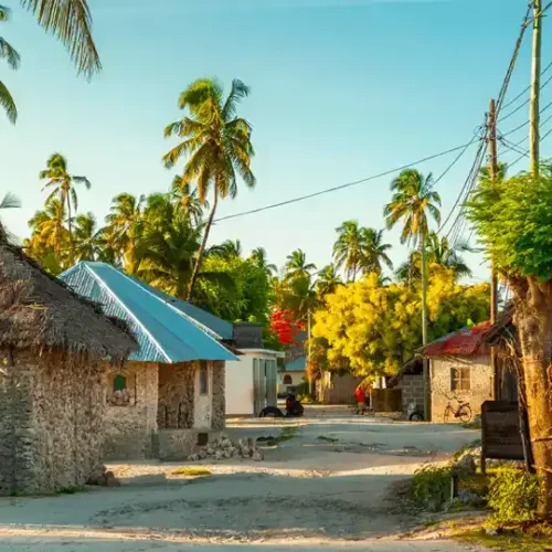 Visite de la communauté locale à Zanzibar