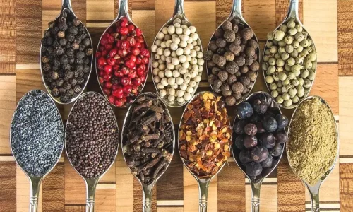 Visite des épices aromatiques à Zanzibar