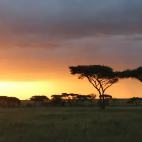 Vue de l_Aventure Nocturne au Lac Manyara