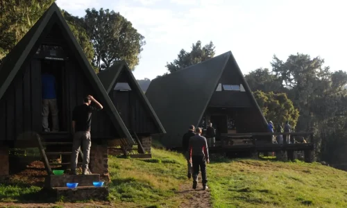 Vue des Mandara Huts, Kilimandjaro (route Marangu)