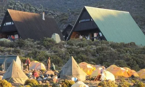 Vue des Mandara Huts, Kilimandjaro