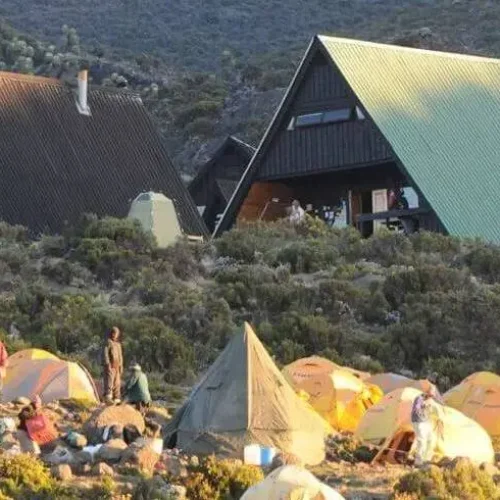 Vue des Mandara Huts, Kilimandjaro