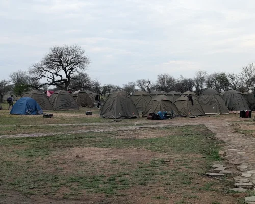 Vue des tentes du camp Nyani