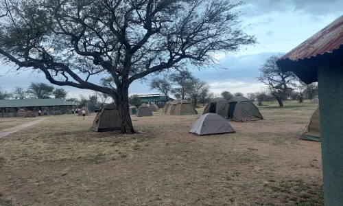 Vue des tentes du camping Nyani