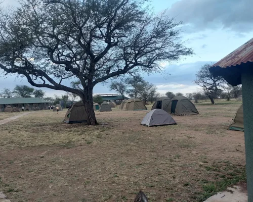 Vue des tentes du camping Nyani